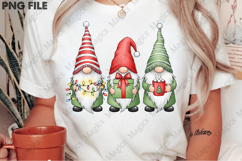 Christmas Gnome PNG Clipart Product Image 2