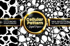 Crackle Pattern Digital Papers - 04 Variations Product Image 1