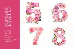 Floral numbers clipart sublimation Product Image 1