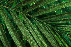 A glittery green leaf with dew drops in the background Product Image 1