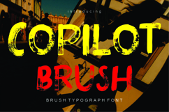 Copilot Brush Product Image 1