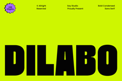 Dilabo - Bold Condensed Sans Font Product Image 1