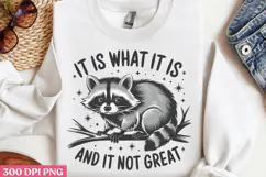 It is what it is. And is it not great PNG, Funny Raccoon Quo Product Image 2