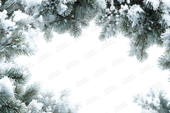 Snowy Pine Bough Arch Frame on White Background Product Image 1