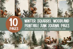 Winter Squirrel Woodland Junk Journal Pages Product Image 1