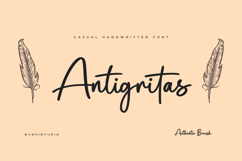 Antigritas a Chic Handwritten Font Product Image 1