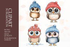Watercolor owl clipart sublimation png Product Image 1
