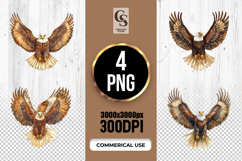 Bald Eagle Wings Spread Clipart Sublimation PNG Product Image 1