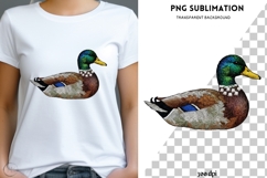 Mallard Duck PNG, Embroidered Duck Clipart, Rustic Nature Product Image 1