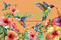 Hummingbird Clipart Watercolor Tropical Birds Nursery Art Product Image 1