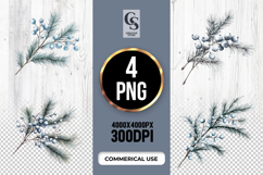 Pine Berry Icy Botanical Winter Clipart Sublimation PNG Product Image 1