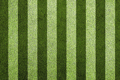Striped Green Grass Texture Background JPG File Product Image 1