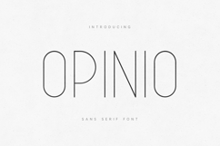 Opinio Sans Serif Font Modern Minimal Clean Typography Product Image 1