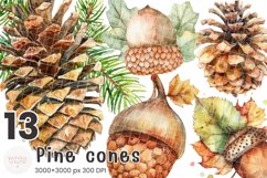 Pine Cones Product Image 1