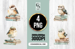 Cute Birds on Books Clipart Sublimation PNG Product Image 1