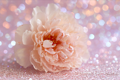 A sparkling pink and gold glitter background Product Image 1