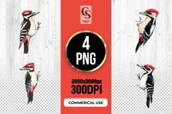Watercolor Woodpecker Bird Clipart Sublimation PNG Product Image 1