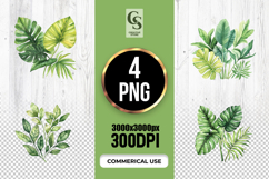 Watercolor Tropical Leaf Clipart Sublimation PNG Product Image 1