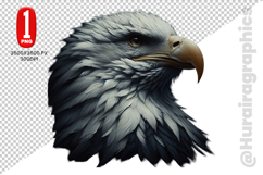 Cute Eagle Clipart - PNG File Product Image 2