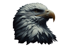 Cute Eagle Clipart - PNG File Product Image 1