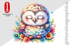 Cute Owl Clipart - PNG File Product Image 1