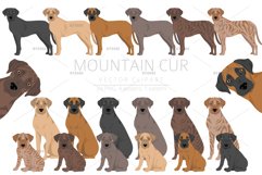 Mountain Cur clipart Product Image 1