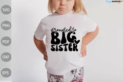 Promoted to Big Sister SVG Cut Files/ Sister Quote SVG Product Image 1