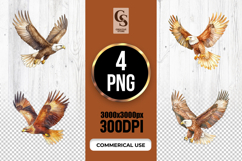 Flying Bald Eagle Illustration Clipart Sublimation PNG Product Image 1