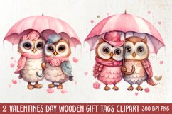 Couple Owl Valentines Day Clipart, Couple Owl Clipart Product Image 2