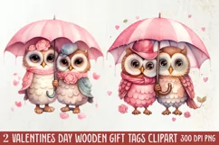 Couple Owl Valentines Day Clipart, Couple Owl Clipart Product Image 2