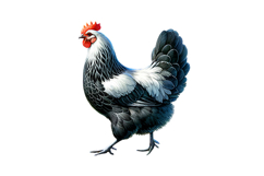 Cute Hen Clipart - PNG File Product Image 1