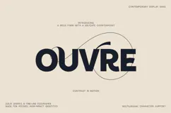 Ouvre Bold Contemporary Display Sans Font Product Image 1