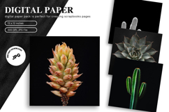 Cactus Succulent Background Wallpaper Wallart Watercolor Product Image 1