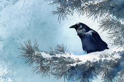 Watercolor Crow Raven Snowy Pine Branch Winter Blue Art Product Image 1
