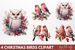 Chirstmas Birds Clipart PNG Product Image 1