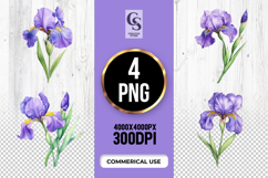 Purple Iris Flower Clipart Sublimation PNG Product Image 1