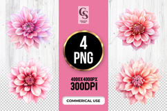 Pink Dahlia Flower Sublimation Clipart PNG Product Image 1