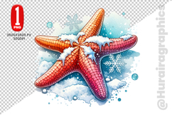 Star Fish Clipart- PNG File Product Image 2