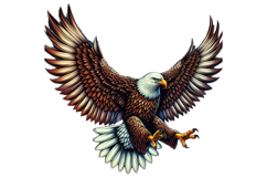 Cute Eagle Clipart - PNG File Product Image 2