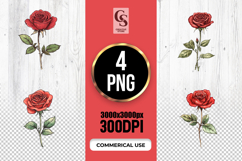 Red Rose Botanical Illustration Clipart Sublimation PNG Product Image 1