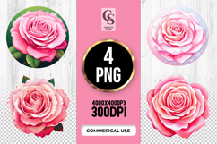 Elegant Pink Rose Floral Clipart Sublimation Png Product Image 1