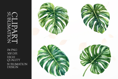 Watercolor tropical leave clipart sublimation png Product Image 1
