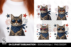 Patriotic Cat Clipart PNG Product Image 1