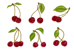 Set of ripe juicy red cherries. Product Image 1