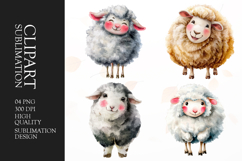 Watercolor cute sheep clipart sublimation png Product Image 1