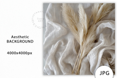 Aesthetic Neutral Background, Mockup JPG Product Image 1