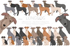 Longdog. Greyhound/Sighthound mix Product Image 1