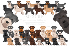 Scoodle, Scottiepoo dog mix Product Image 1