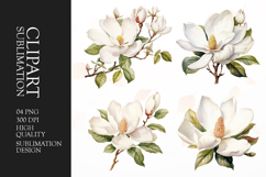 Watercolor white flower clipart sublimation png Product Image 1