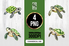 Realistic Sea Turtle Ocean Clipart Sublimation PNG Product Image 1